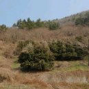 돌산읍사무소 이미지