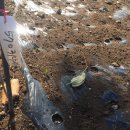 만산농장 이미지