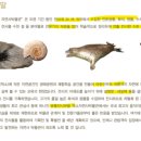 덕소자연사박물관 이미지