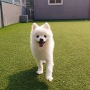 수바오스토리
