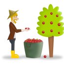 중동농장 이미지