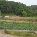 금사농장 이미지