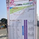 흥덕사1교 | 청주 무심천 푸드트럭 축제 벚꽃 축제 정보 및 볼거리 정리 후기