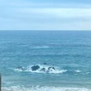 오션피드 이미지