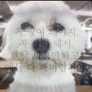 이공족발 - 강남구 강남대로106길 7 | 이공족발