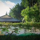 도리마을 숲 이미지