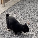 삼달상회 | 포항 3박 4일 여행 1일차 ㅣ포항 1사단 근처 펜션 노블레스트 구룡포 일본거리
