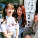 온니들