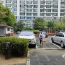 사월동 지석묘군 이미지
