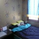 제주게스트하우스봄꽃 이미지