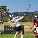 그린에프엔씨 이미지