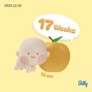 11650-17-20-4 | 임신 17 18 19 20주차 증상, 태동느끼는시기, 호산여성병원 전원, 초음파