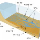 해수면 상승 온몸으로 막는 남극 ‘캠 빙하’의 비밀 풀었다 이미지