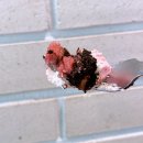 박N스토어 | 투썸플레이스 메뉴 가격 케익 종류 투썸 떠먹는 딸기 초코 크런치 아박 조각 케이크 가격 칼로리