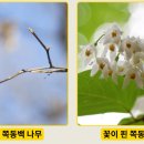 온노리 이미지