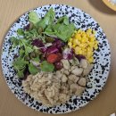 냥냥타코 | 타코락도 락이다🎸