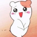 꾸떼베이킹