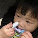 김밥데이 이미지