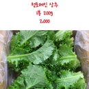 과일애 이미지