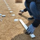 도리원초등학교 이미지