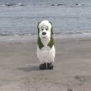 요비헤어 이미지