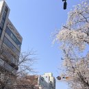 라플로레종 이미지