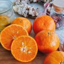 진한농장 이미지