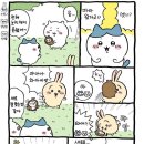 풍뎅이샵