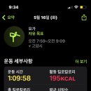 아침요가 이미지