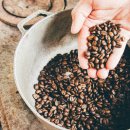 커피이야기(coffee story) 이미지