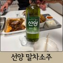 GS25제주남문점 | 편의점 신상 소주 선양 말차소주 후기｜GS25 재고확인 방법, 도수, 할인, 구매방법