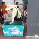 군청앞버스승강장 이미지