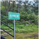 포레스트 카라반 랜드 이미지