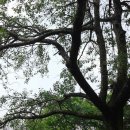 백양산업 이미지