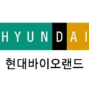 퓨처랜드 이미지
