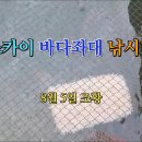 스카이좌대낚시터 이미지