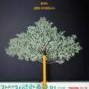 파고다차이랑간석중국어교습소
