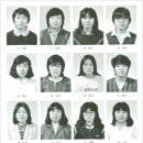 손시종 Daum카페