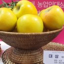 법인에덴동산