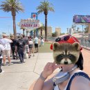 자동차랜드 다운타운 | 미국 LA 여행 DAY 11 | 라스베이거스, 그랜드캐니언 2박 3일 투어 후기