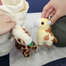 모랑스 | 신아로미님과 함께한 <넘어져도 괜찮아! 실패자 요가 클럽> 참여 후기. 읽다보면 내가 부러워질걸