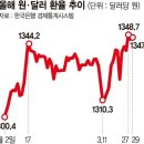 금리 내려도 强달러…환율 1360원도 불안 이미지