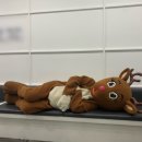 사슴엔터테인먼트
