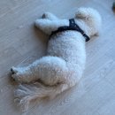 봉명방앗간 | 2026_02 : 일상 속 소소한 행복 찾기