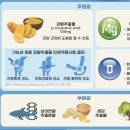 수니식품
