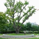 아라공원 이미지