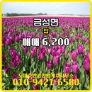 금산공인중개사사무소 이미지