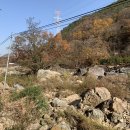 장계관광지 이미지