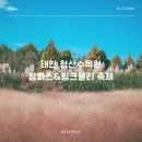솜사랑 | 태안 여행, 청산수목원 "팜파스 핑크뮬리 축제" 가을 데이트 명소 추천