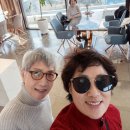 피노펠리즈 이미지